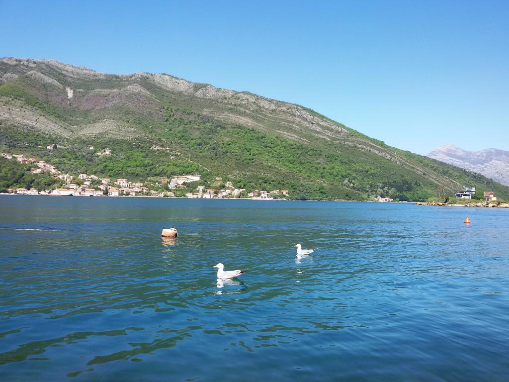 Apartmani Ivana Teodo Esterno foto